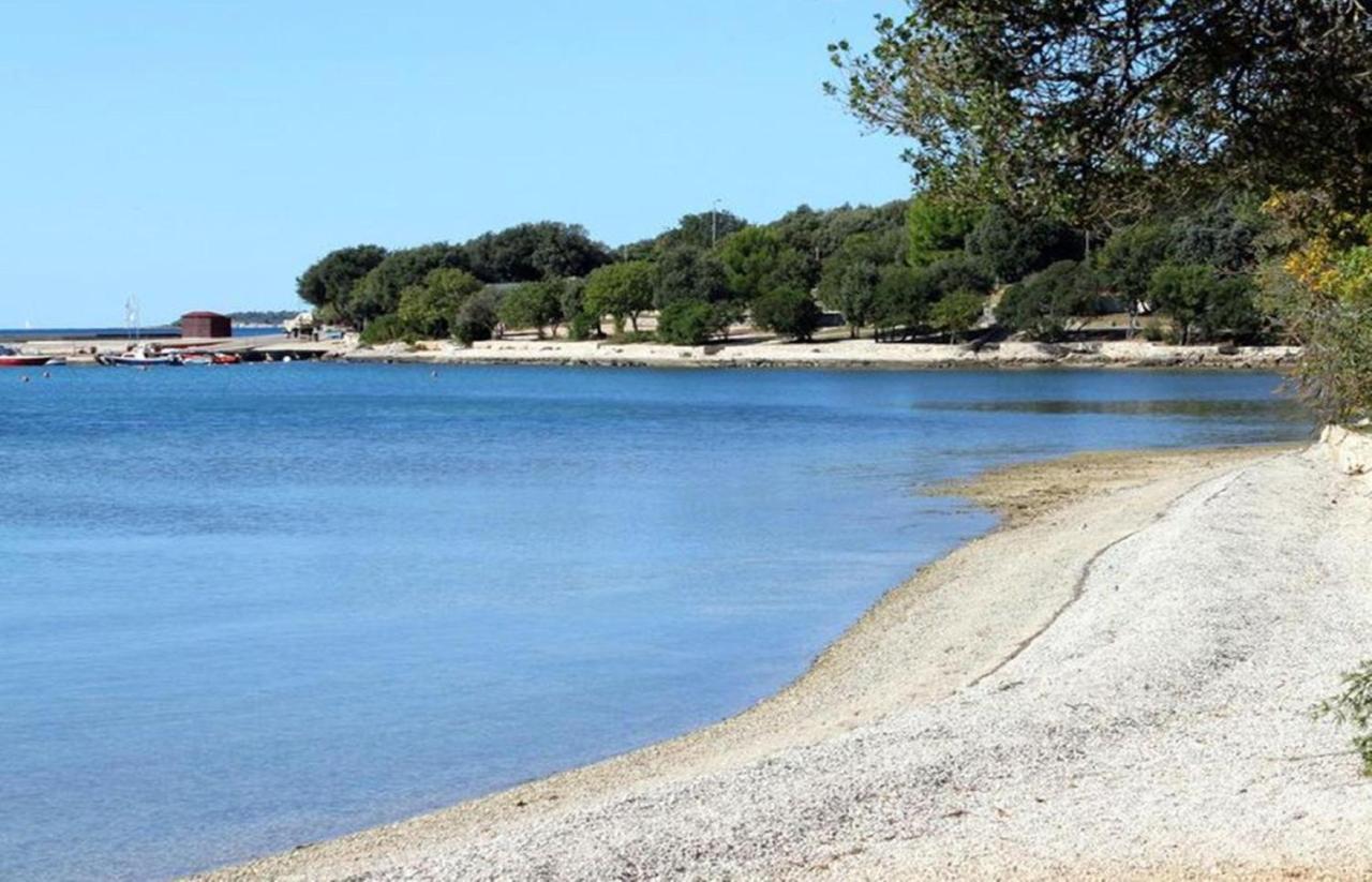 Goga Mare Apartment Rovinj Dış mekan fotoğraf